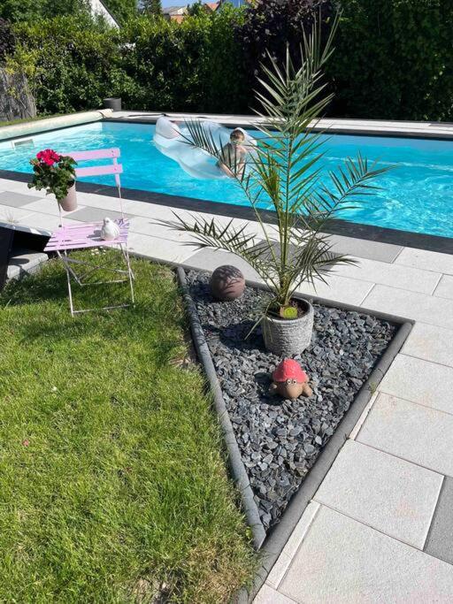 Le Gite Des Cigogneaux Schwenheim Exterior foto
